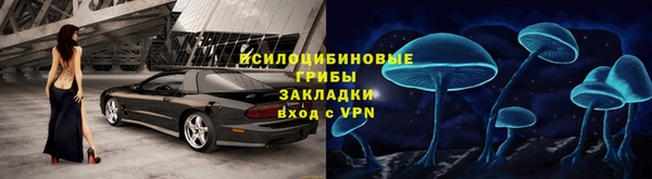 ГАЛЛЮЦИНОГЕННЫЕ ГРИБЫ Алексеевка