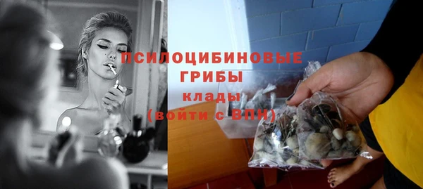каннабис Абаза