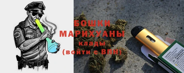 PSILOCYBIN Карталы